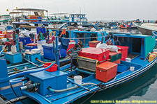 fishing boats